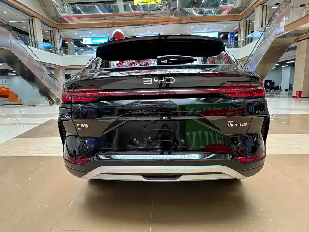 BYD PLUS New Energy 2024 из CN, фото 3