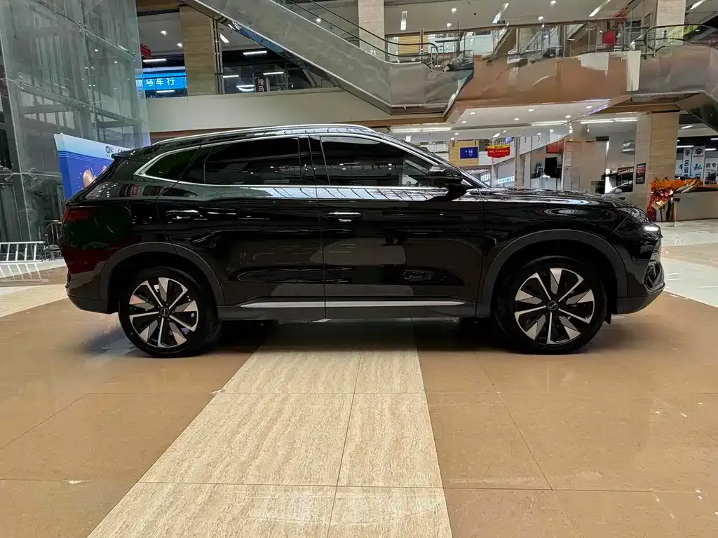 BYD PLUS New Energy 2024 из CN, фото 4