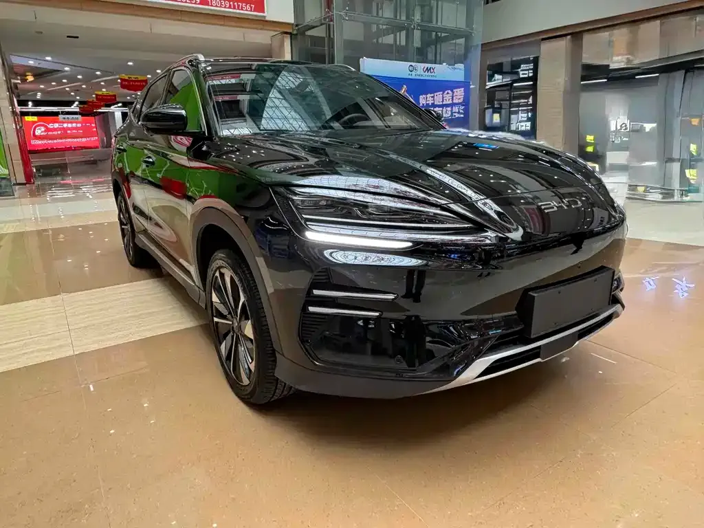 BYD PLUS New Energy 2024 из CN, фото 8