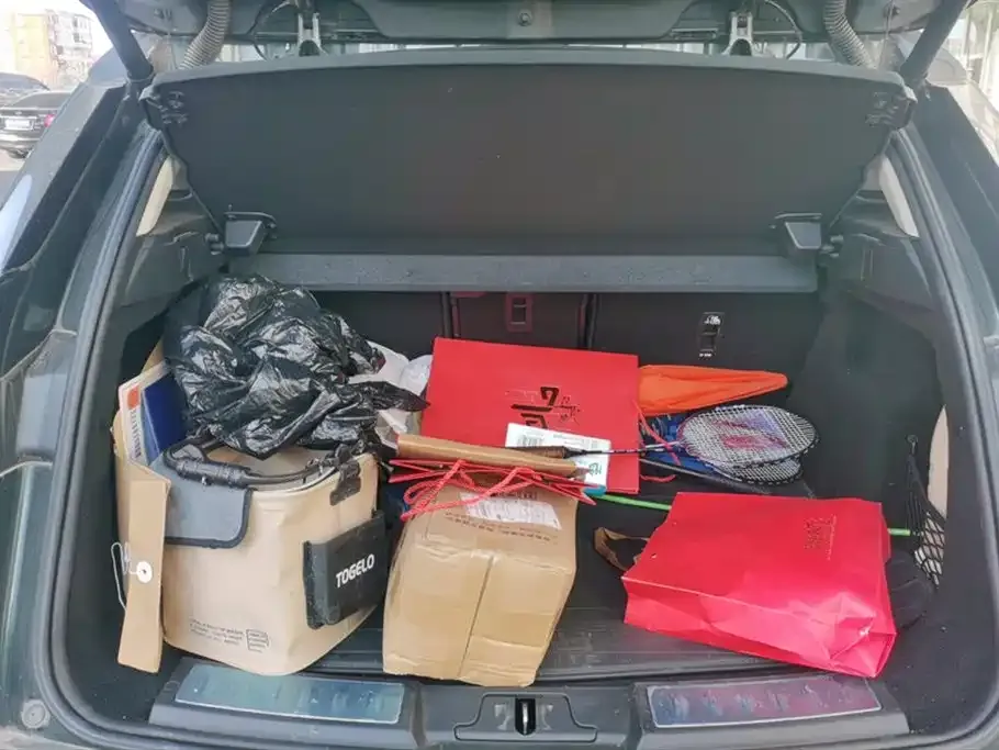Land Rover Evoque 2021 из CN, фото 9