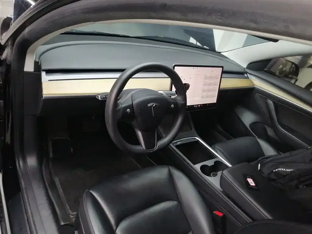 Tesla Model 3 2021 из CN, фото 10