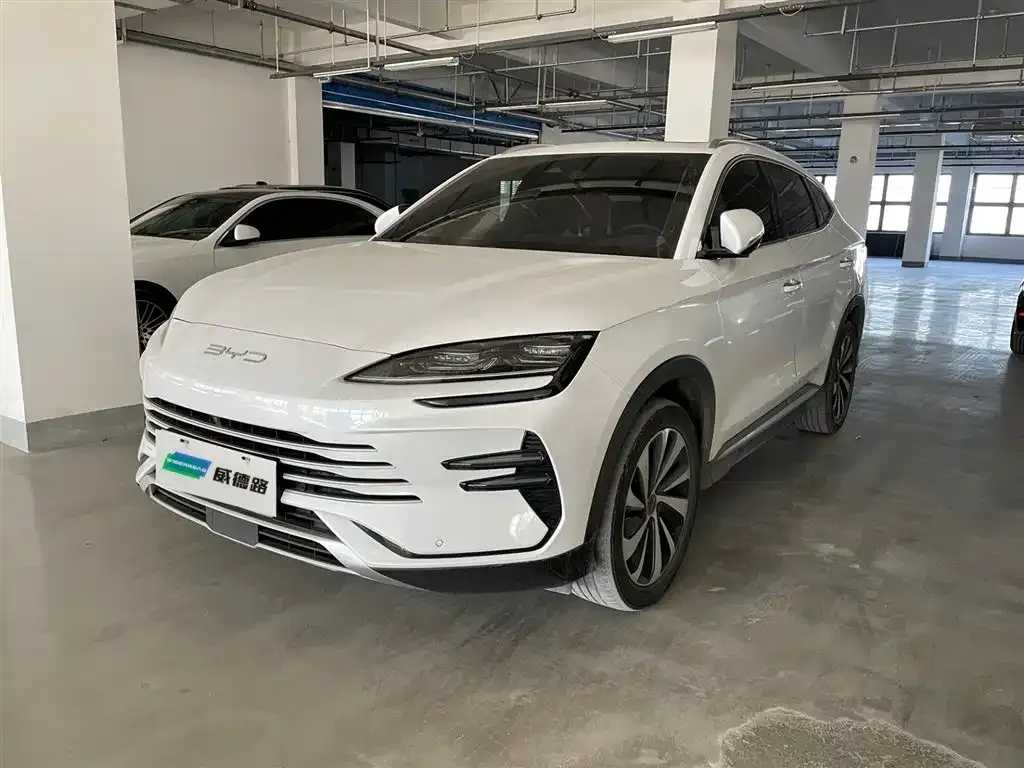 BYD PLUS New Energy — фото 1