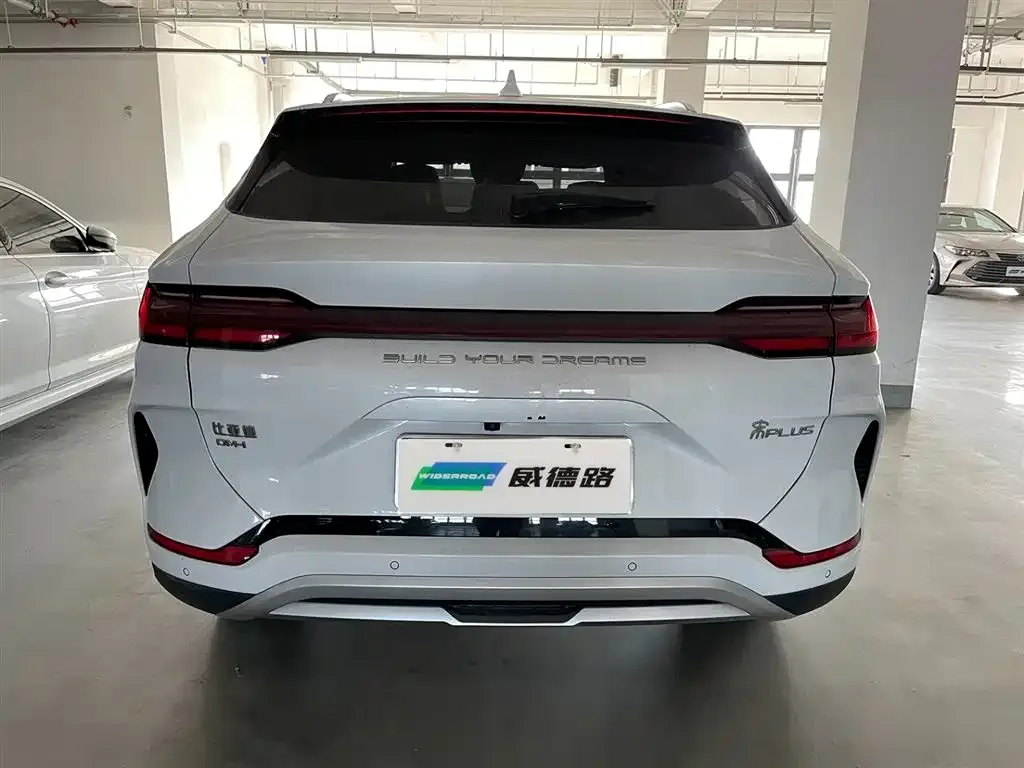 BYD PLUS New Energy — фото 3