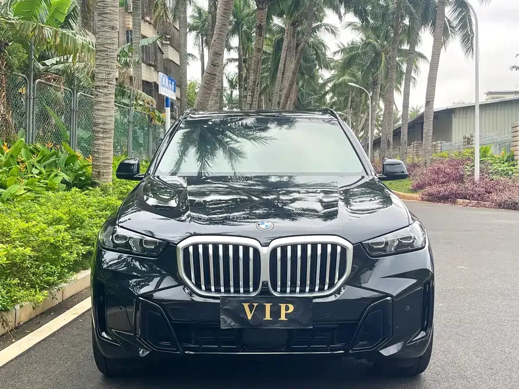BMW X5 2025 из CN, фото 6