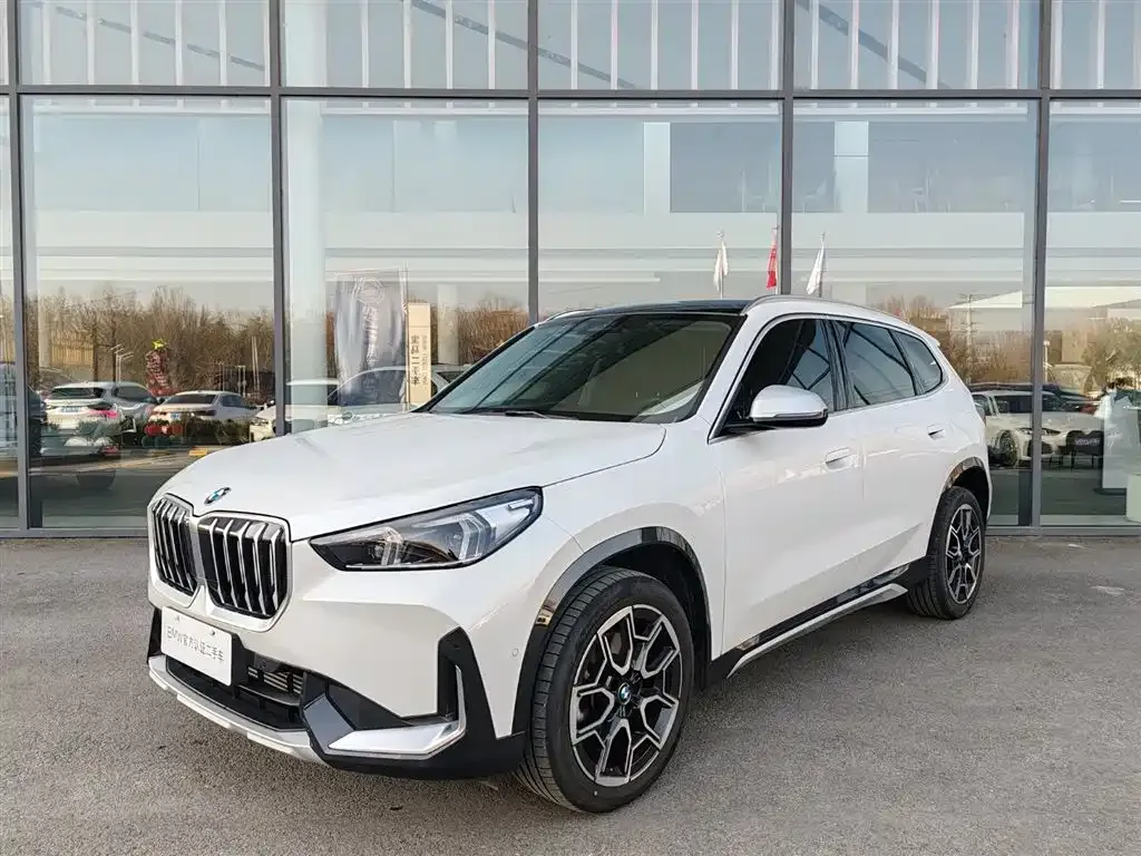 BMW X1 — фото 1