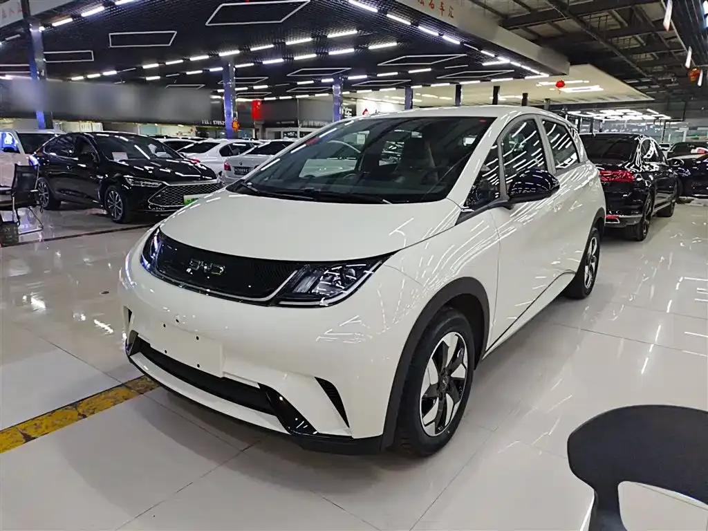 BYD Dolphin 2025 из CN, фото 1