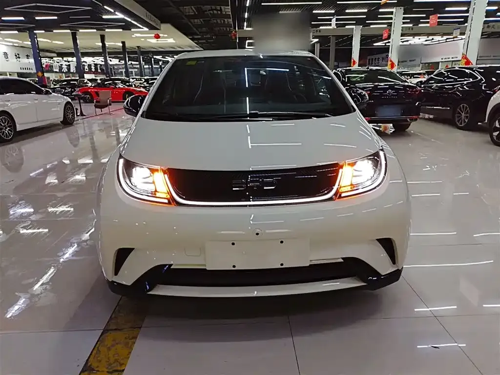 BYD Dolphin 2025 из CN, фото 6