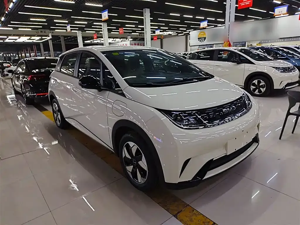 BYD Dolphin 2025 из CN, фото 3