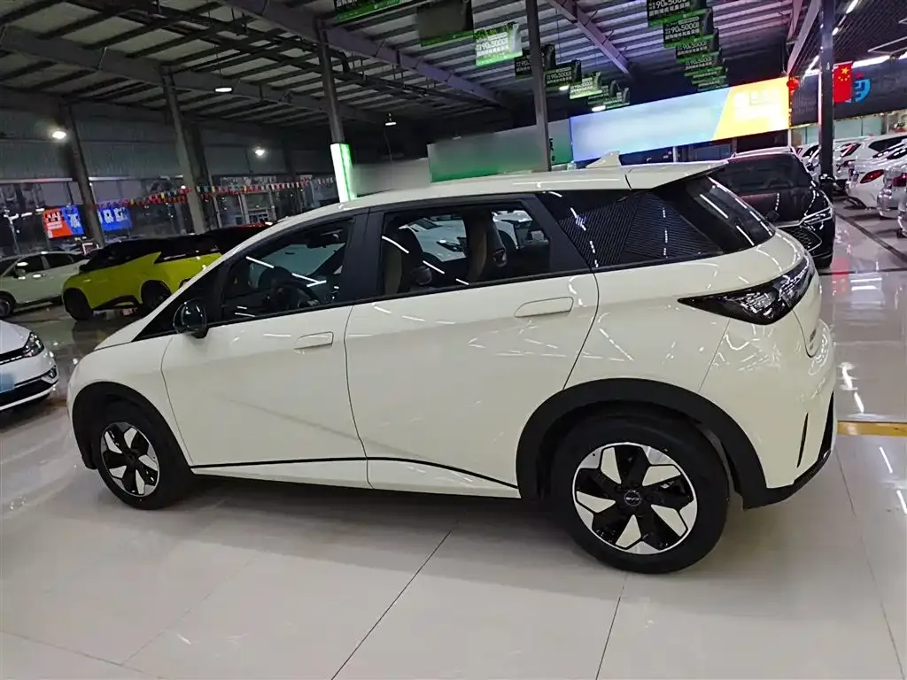 BYD Dolphin 2025 из CN, фото 4