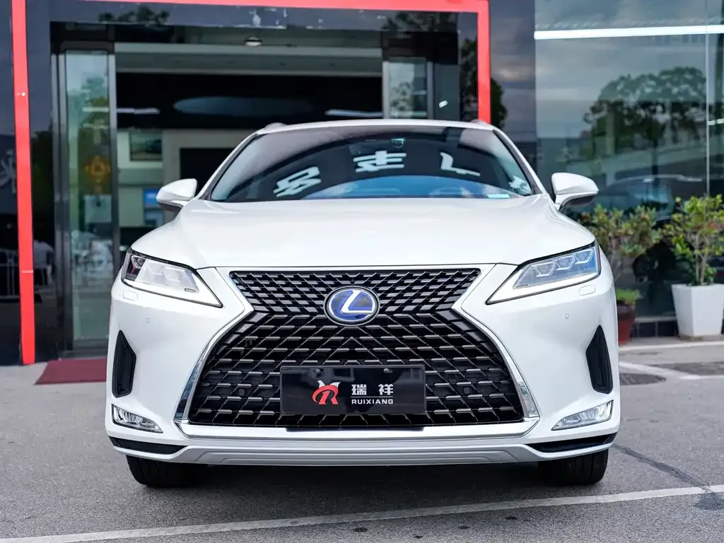 Lexus RX 2021 из CN, фото 1