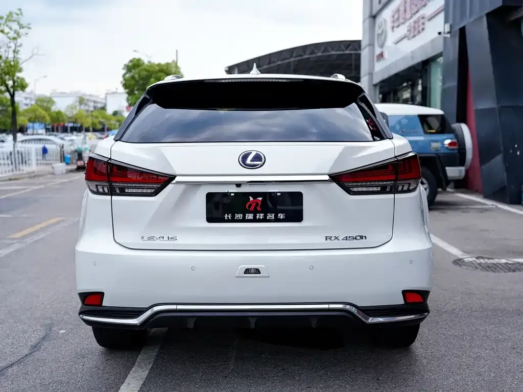 Lexus RX 2021 из CN, фото 10