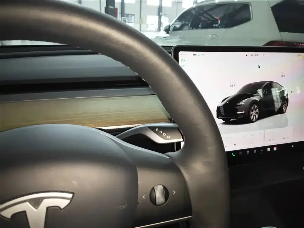 Tesla Model Y 2023 из CN, фото 6
