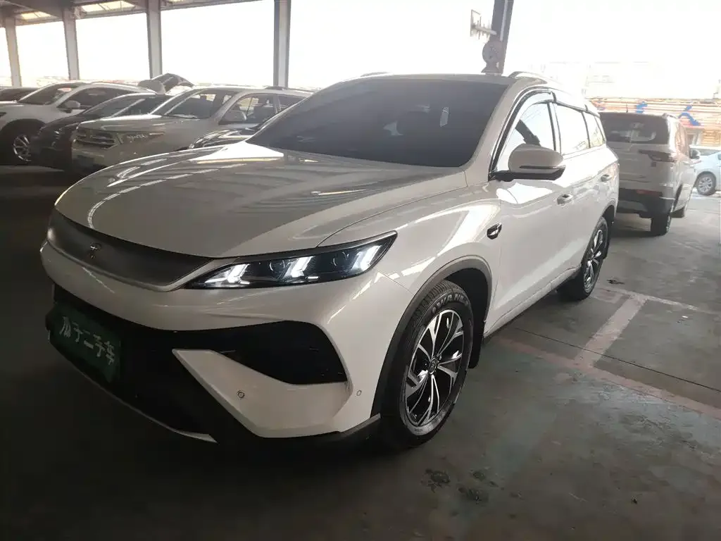 BYD Pro New Energy 2025 из CN, фото 1
