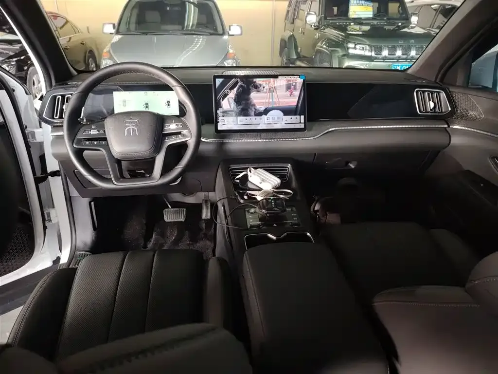 BYD Pro New Energy 2025 из CN, фото 6