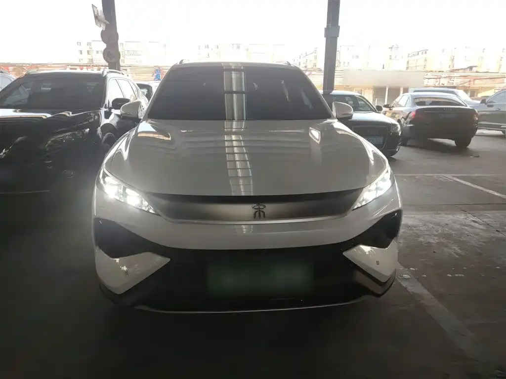 BYD Pro New Energy 2025 из CN, фото 2