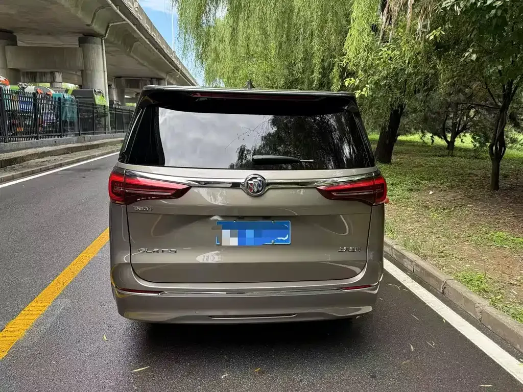 Buick GL8 2021 из CN, фото 10