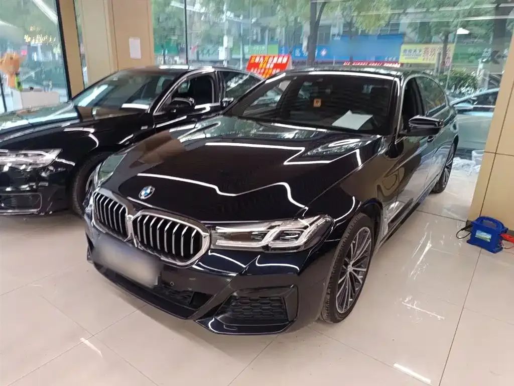 BMW 5 Series 2022 из CN, фото 4