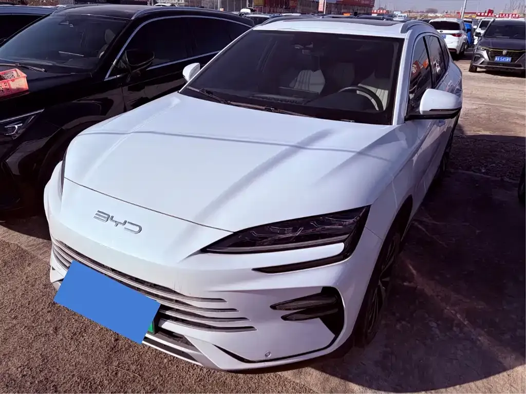 BYD PLUS New Energy 2023 из CN, фото 1