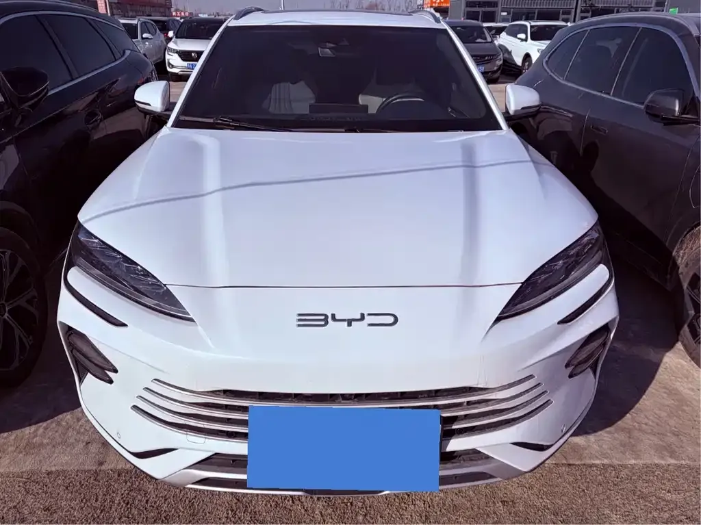 BYD PLUS New Energy 2023 из CN, фото 8