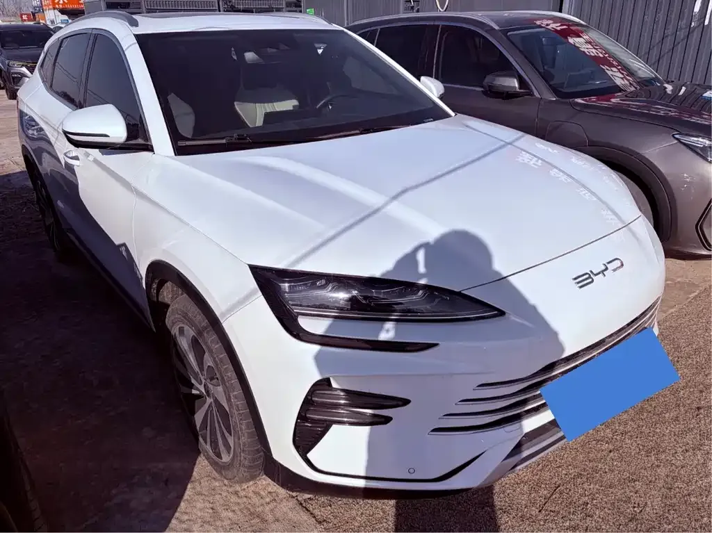 BYD PLUS New Energy 2023 из CN, фото 6