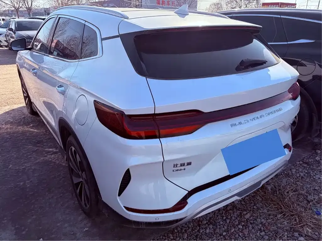 BYD PLUS New Energy 2023 из CN, фото 7