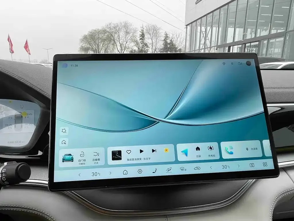 BYD PLUS New Energy 2025 из CN, фото 5