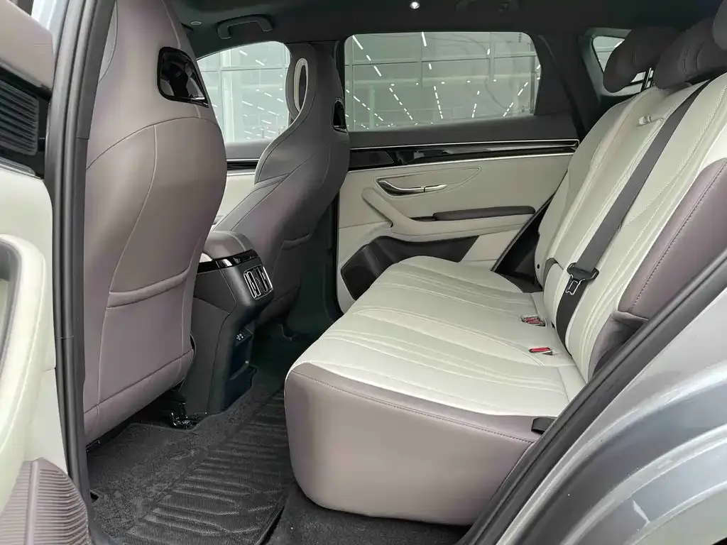 BYD PLUS New Energy 2025 из CN, фото 4