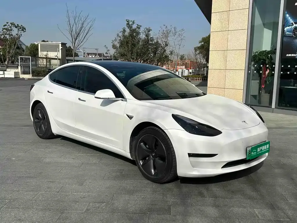 Tesla Model 3 2021 из CN, фото 3