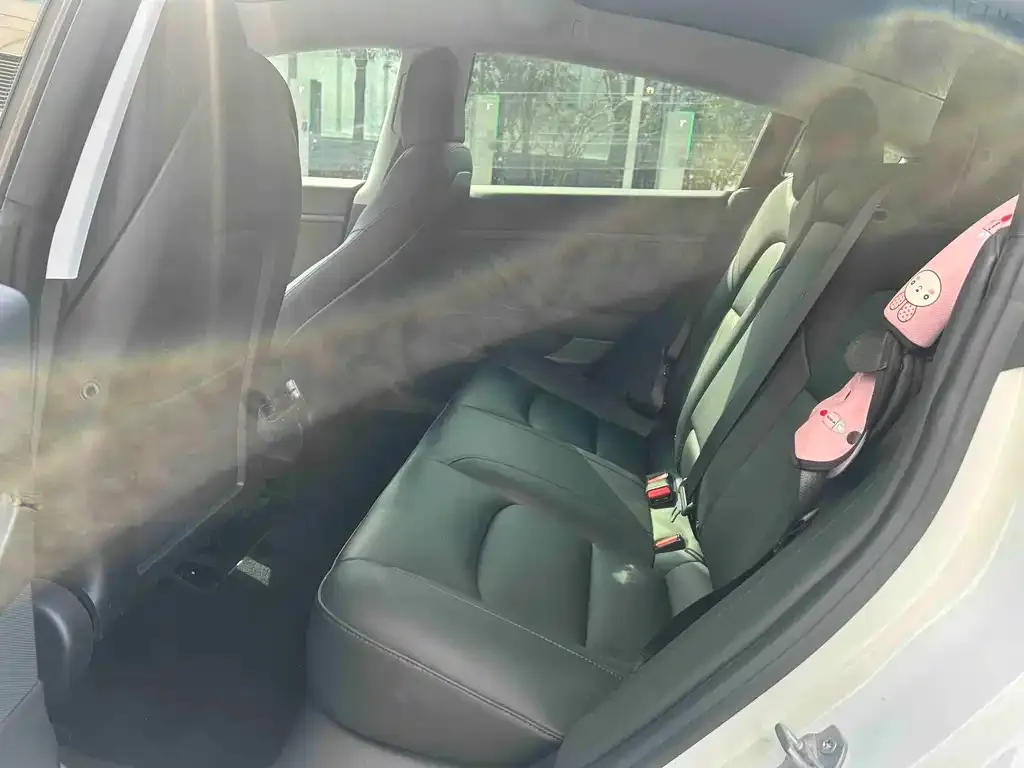 Tesla Model 3 2021 из CN, фото 4