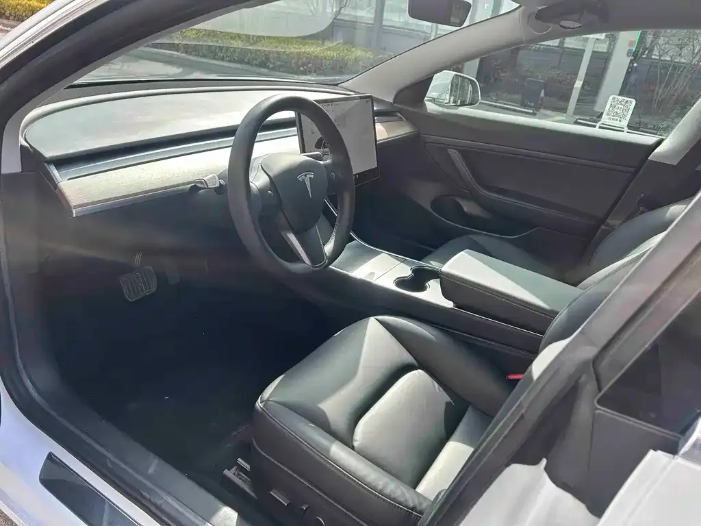 Tesla Model 3 2021 из CN, фото 5