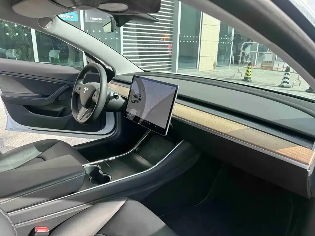 Tesla Model 3 2021 из CN, фото 6