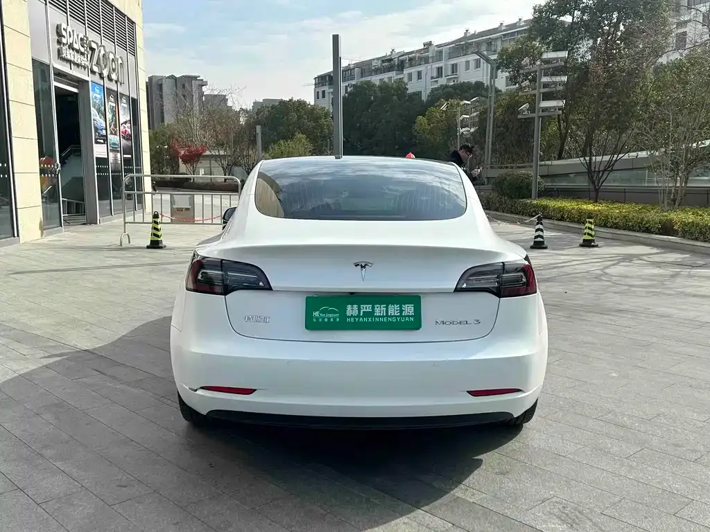 Tesla Model 3 2021 из CN, фото 9