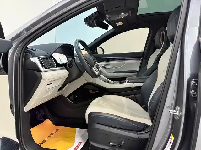 BYD PLUS New Energy 2024 из CN, фото 10
