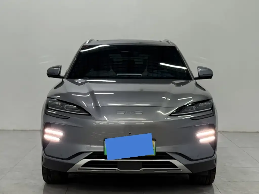 BYD PLUS New Energy 2024 из CN, фото 2