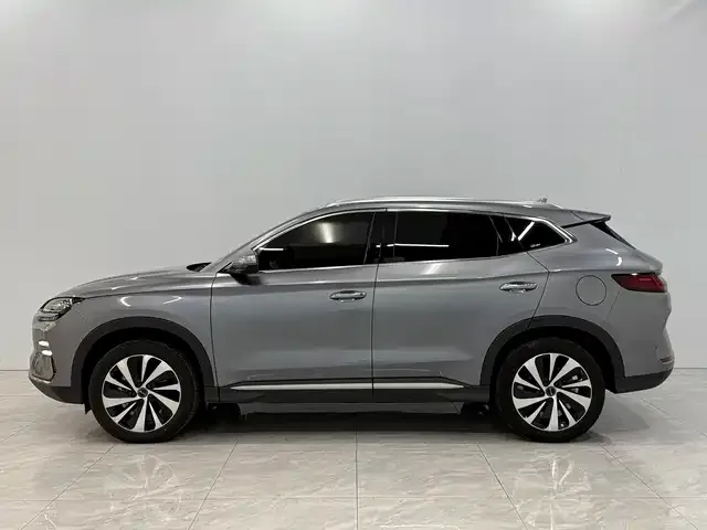 BYD PLUS New Energy 2024 из CN, фото 9