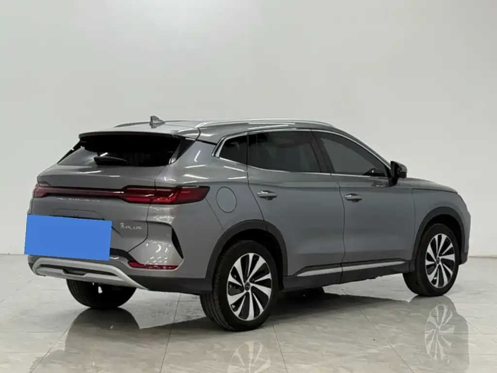 BYD PLUS New Energy 2024 из CN, фото 4