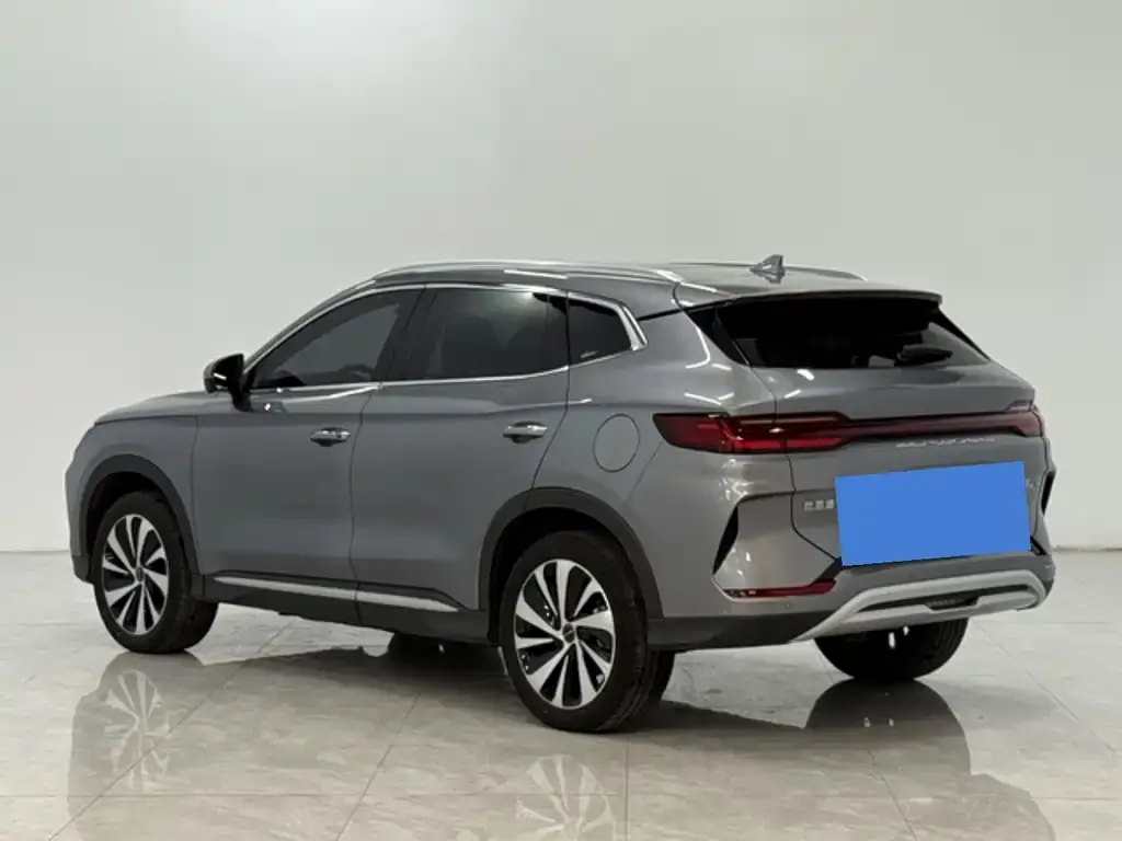 BYD PLUS New Energy 2024 из CN, фото 8