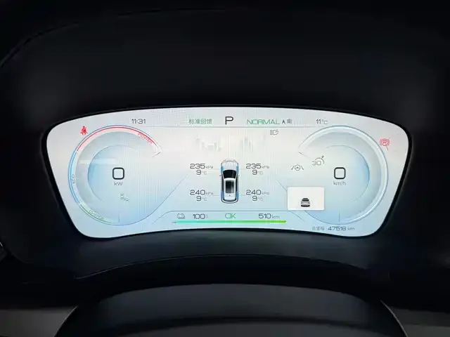 BYD PLUS New Energy 2024 из CN, фото 5