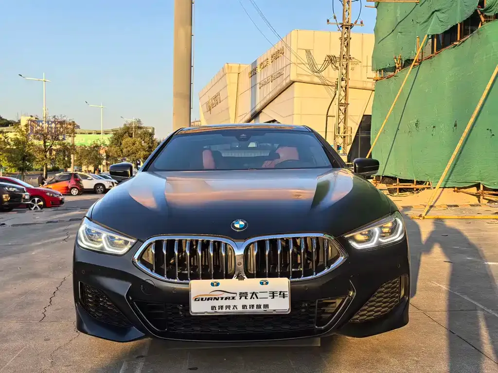 BMW 8 Series 2021 из CN, фото 5