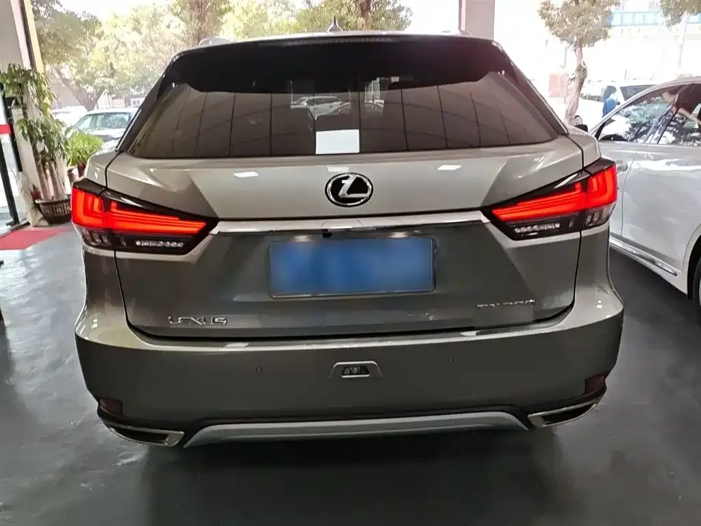 Lexus RX 2021 из CN, фото 8
