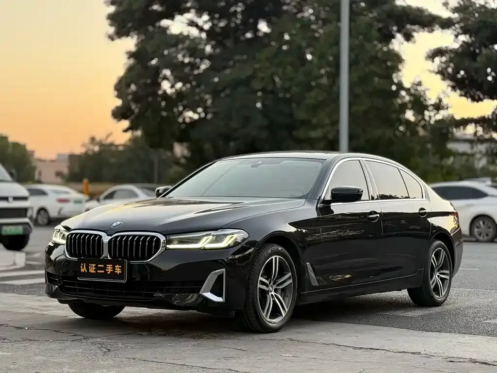 BMW 5 Series 2021 из CN, фото 1