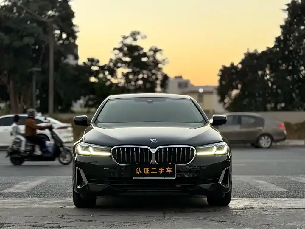 BMW 5 Series 2021 из CN, фото 9