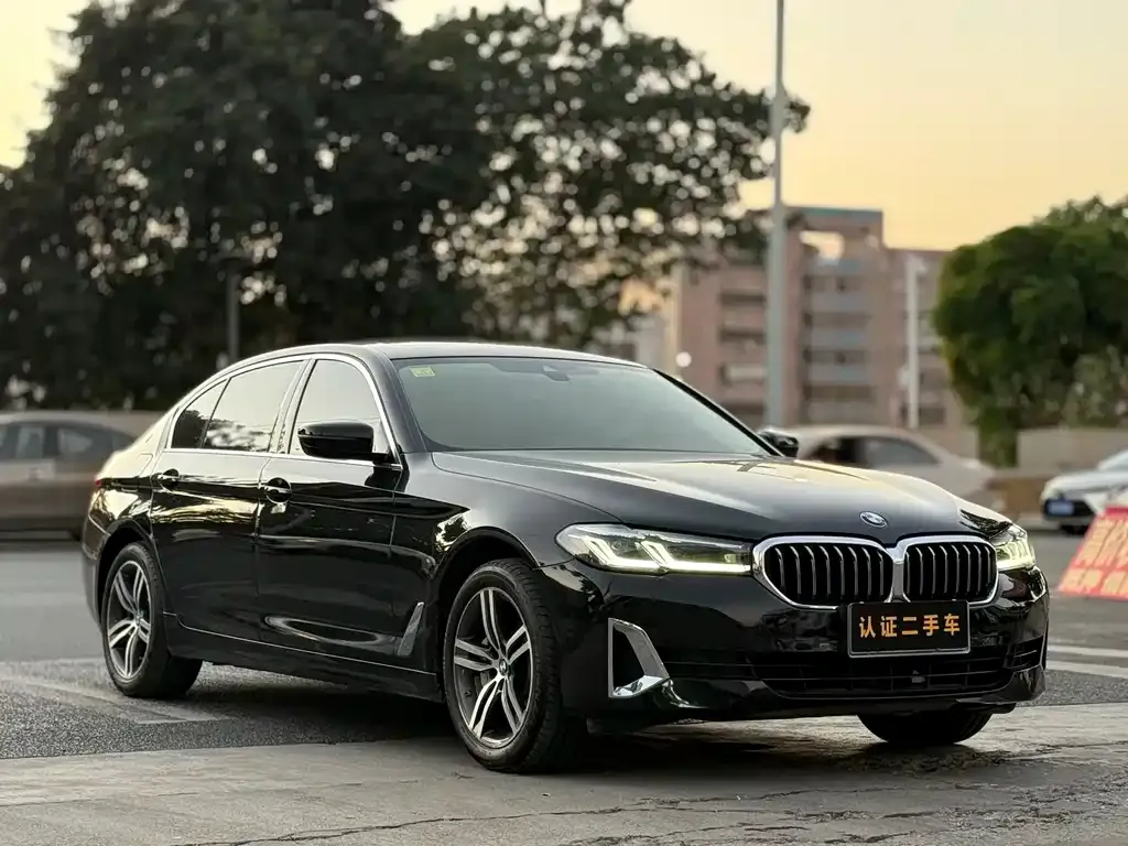 BMW 5 Series 2021 из CN, фото 7