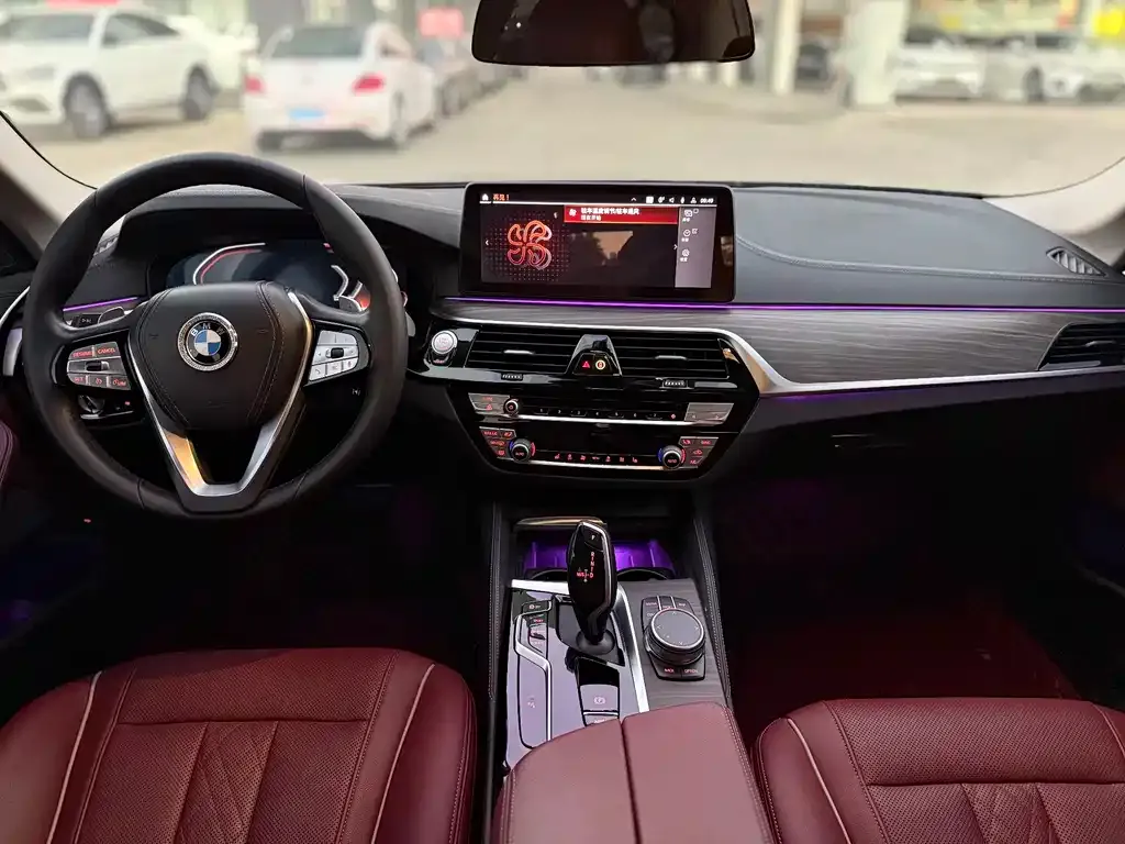 BMW 5 Series 2021 из CN, фото 6