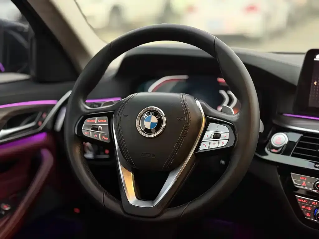 BMW 5 Series 2021 из CN, фото 4