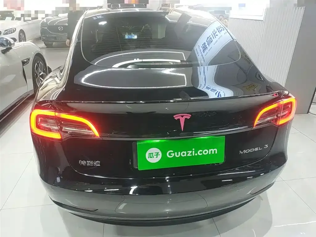 Tesla Model 3 2023 из CN, фото 6