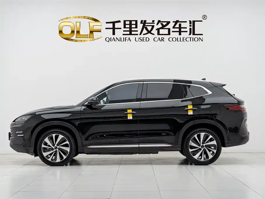 BYD PLUS New Energy 2024 из CN, фото 2