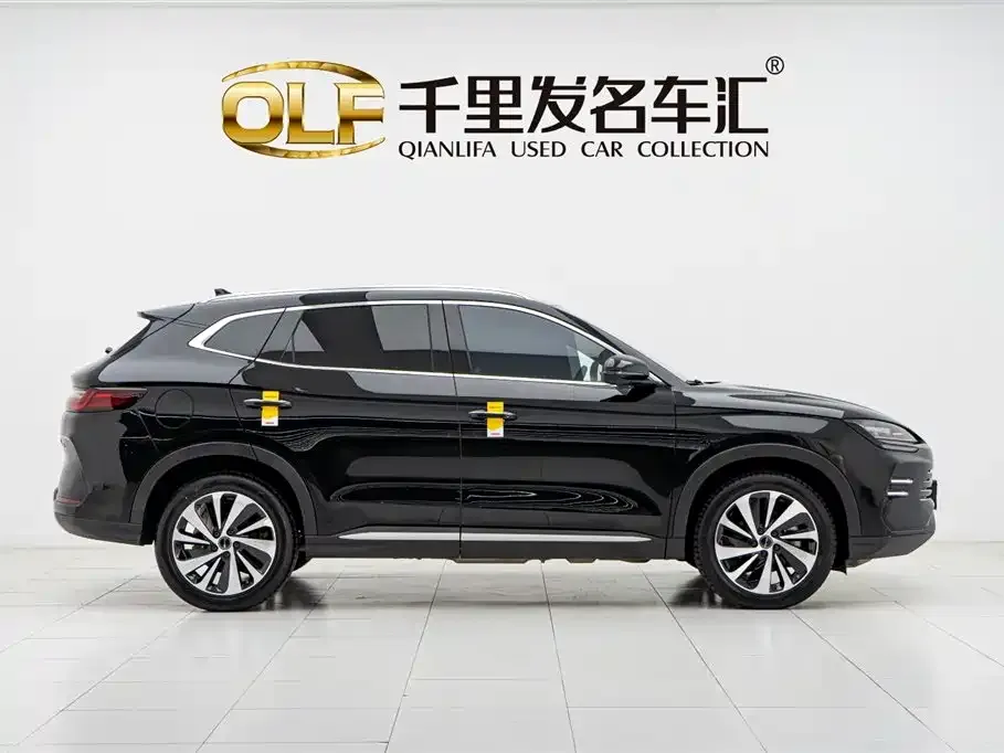 BYD PLUS New Energy 2024 из CN, фото 3