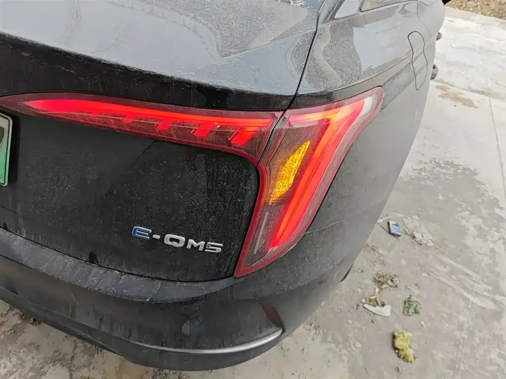 Hongqi E-QM5 2024 из CN, фото 2