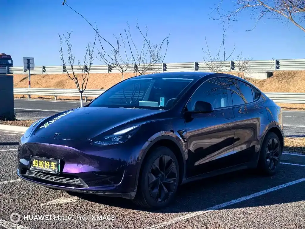 Tesla Model Y 2024 из CN, фото 1